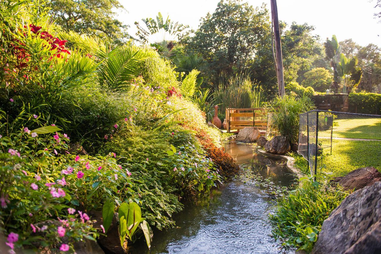 Fringilla Lodge Chisamba ภายนอก รูปภาพ