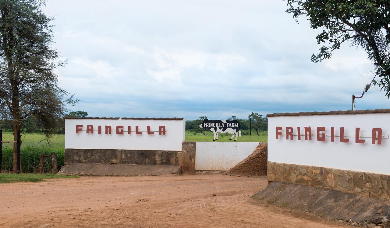 Fringilla Lodge Chisamba ภายนอก รูปภาพ