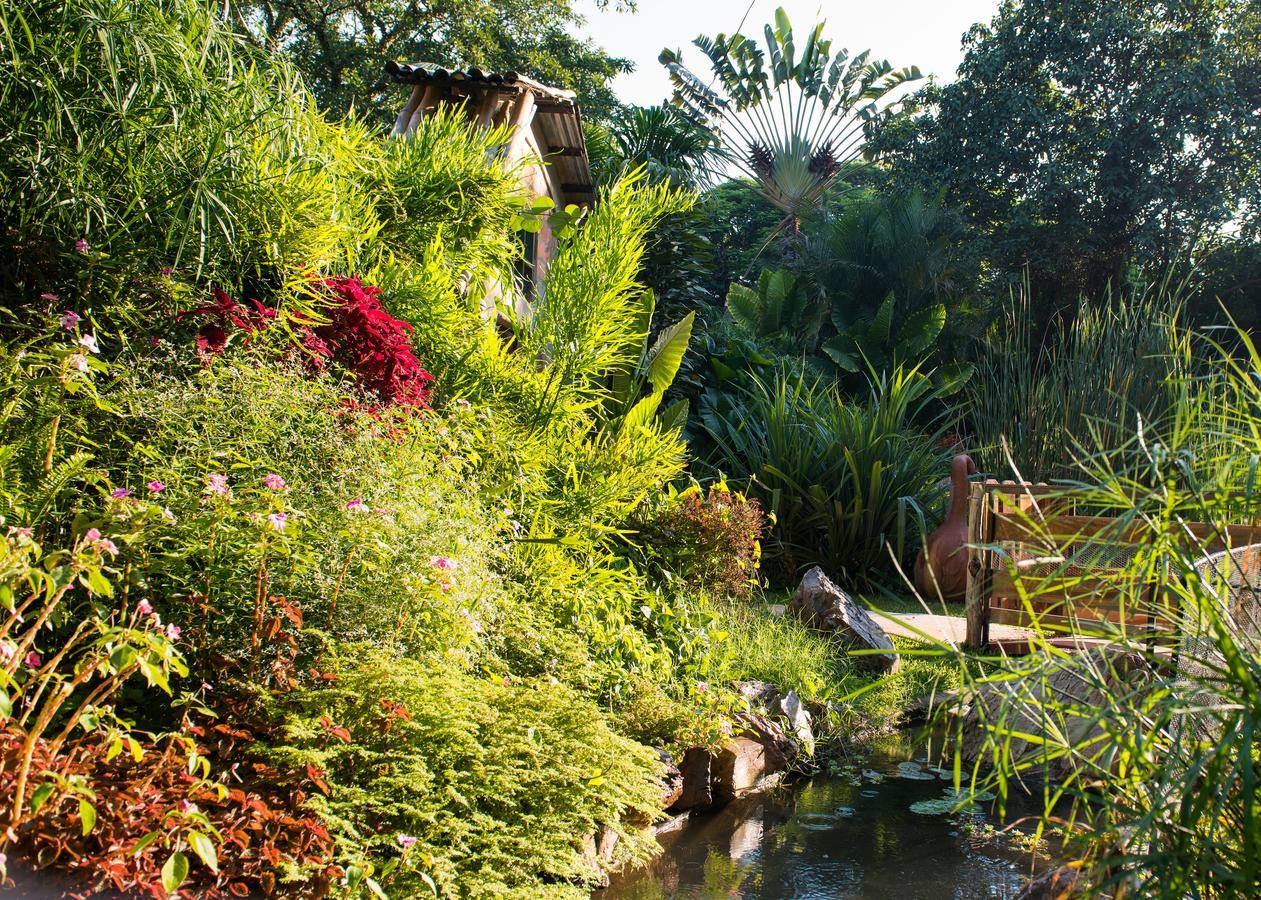 Fringilla Lodge Chisamba ภายนอก รูปภาพ