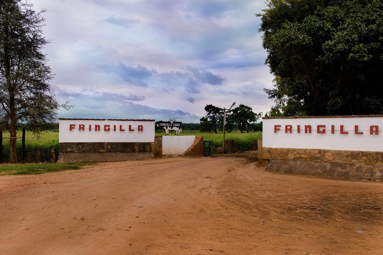 Fringilla Lodge Chisamba ภายนอก รูปภาพ